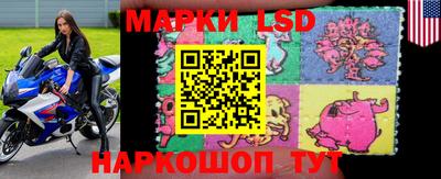 ПСИЛОЦИБИНОВЫЕ ГРИБЫ Изобильный
