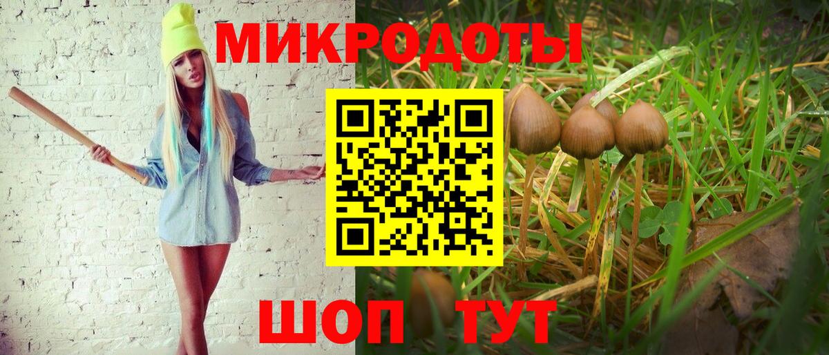 Галлюциногенные грибы MAGIC MUSHROOMS Заречный
