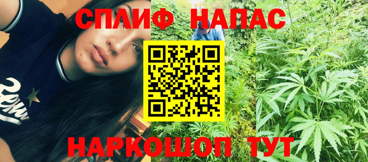 Конопля Amnesia  Каннабис SATIVA & INDICA  Вход с VPN  Бошки Шишки марихуана  Заречный 
